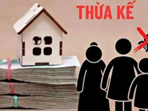7 trường hợp dù là con ruột khi vi phạm điều này vẫn không được thừa kế, mọi người nên biết