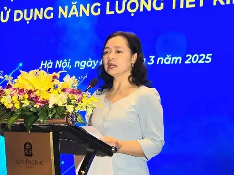 Cần tăng cường chế tài thực thi Luật Sử dụng năng lượng tiết kiệm và hiệu quả