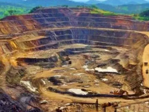 Tìm thấy kho báu nằm sâu dưới 1.000m trong rừng gỗ quý, các chuyên gia vất vả tìm cách đào lên