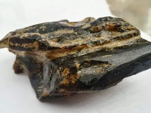 Việt Nam có loại gỗ quý như 'kim cương rừng': Giá lên đến 30 tỷ đồng, cả triệu cây mới lấy được 1 cây