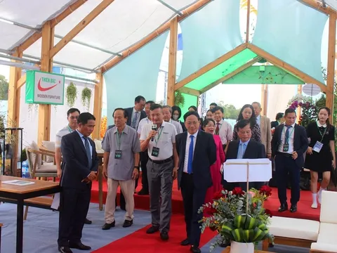 Ngành gỗ ngoại thất ghi dấu tại thủ phủ gỗ Bình Định