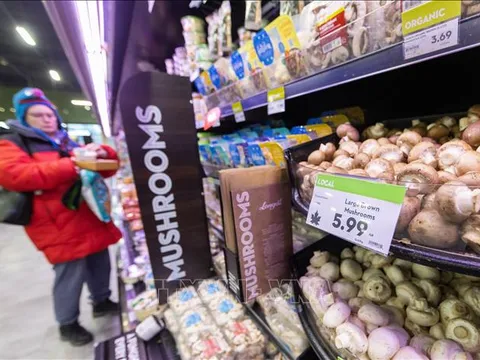 Chính sách tăng thuế nhập khẩu của Mỹ gây khó khăn cho nhiều ngành