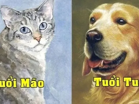 Tử vi ngày 7/3/2025 của 12 con giáp: Tuổi Tuất may mắn rực rỡ, tuổi Mão gặp trắc trở trong công việc