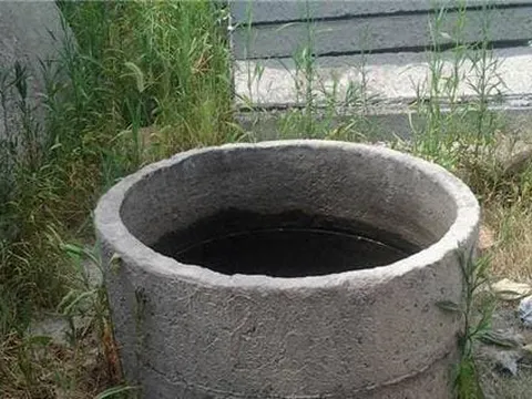 Người xưa đào giếng xong thường thả cá và rùa vào trong, đâu là nguyên nhân? Đọc xong ai cũng trầm trồ về kinh nghiệm của cha ông