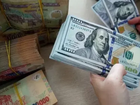 Tỷ giá ngoại tệ ngày 7/3/2025: USD và NDT biến động trái chiều 