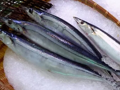 Mình thường ăn cá nên chọn 3 loài cá này, không có cách nào nuôi nhân tạo nên cứ tự tin mà ăn