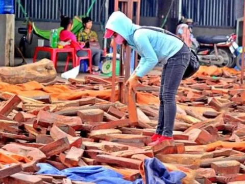 Khu chợ duy nhất Việt Nam bán gỗ quý 'tiền tỷ' theo cân, hàng hiếm đổ đống, người dân ùn ùn kéo tới