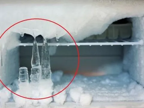 Chỉ cần làm điều này, tủ lạnh nhà bạn sẽ không bao giờ đóng băng, hóa đơn tiền điện giảm một nửa!