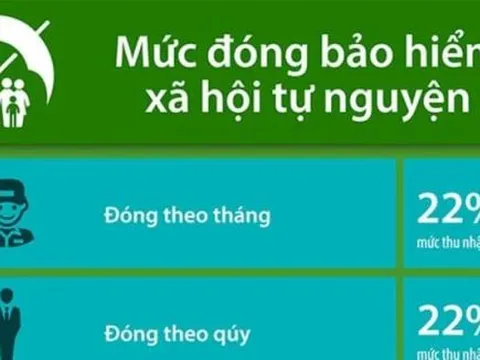 Đóng bảo hiểm xã hội tự nguyện ở đâu? Đóng theo mức lương nào thì phù hợp?