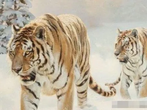 5 con giáp ngày càng giàu lên theo từng năm, xem bạn có nằm trong số đó không?