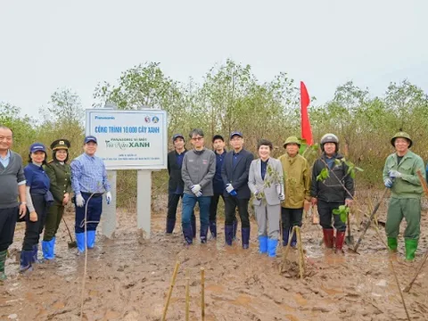 Thái Bình: Trồng 10.000 cây bần chua tại vùng đất ngập nước ven biển