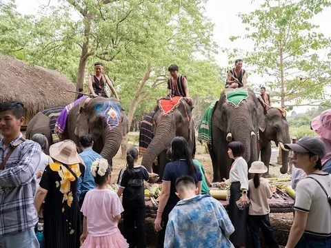 Du lịch thân thiện với voi: Hướng đến lợi ích lâu dài và bền vững