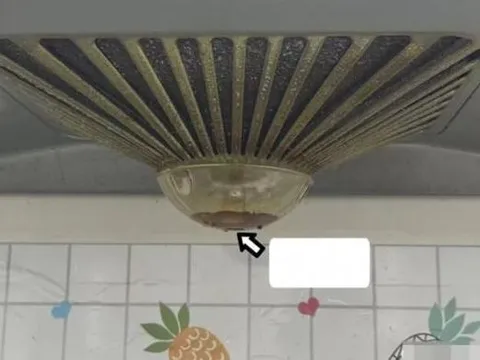 Chớ vội vứt dầu thải từ máy hút mùi, hướng dẫn bạn mẹo này giúp tiết kiệm và tái sử dụng hiệu quả