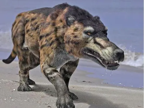 9 loài động vật hiện đại trông khác hẳn tổ tiên của chúng