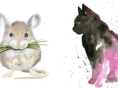 Tử vi hôm nay 12/3 của 12 con giáp: Mão bình yên, Tý rộng mở cơ hội