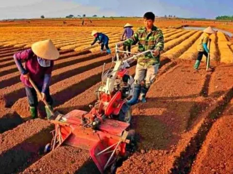 Trường hợp nào được giao đất không thu tiền sử dụng đất từ năm 2025? Người dân nên biết tránh mất quyền lợi