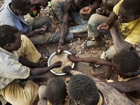 Thức ăn mà người châu Phi thà nhịn đói còn hơn ăn đã trở thành mặt hàng xa xỉ ở nước khác và được du khách yêu thích