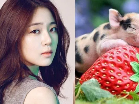 Điểm danh 4 con giáp 'vượng phu ích tử', dù tính khí không tốt, nhưng lại giúp chồng phát tài phát lộc