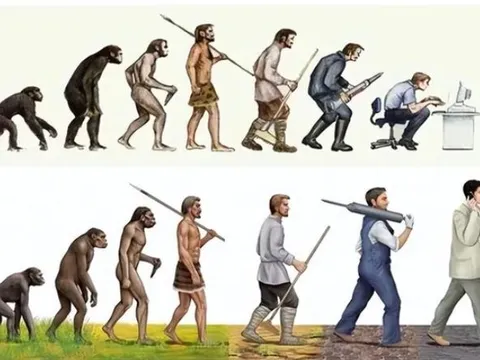 Tại sao con người lại tiến hóa cơ chế chết? Sự bất tử có thực sự tuyệt vời như bạn tưởng tượng?