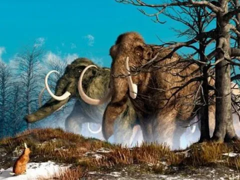 Thợ săn hươu tình cờ phát hiện ngà voi ma mút siêu quý hiếm