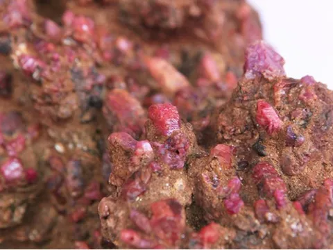 Đang đi dạo trên bờ biển, người đàn ông bất ngờ 'đổi đời' sau khi đụng trúng 'kho báu' hàng chục tỷ đồng