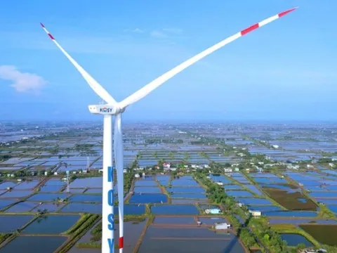 Kosy chậm nộp bảo hiểm 17 tháng, quyền lợi người lao động bị ảnh hưởng nghiêm trọng