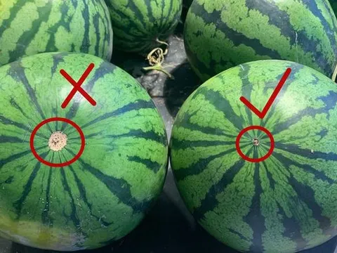 Bí quyết chọn dưa hấu ngọt lịm, mọng nước, nhớ ngay 4 điểm này, đảm bảo chọn đâu trúng đó!