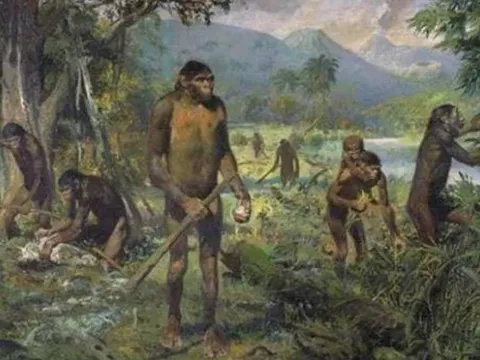 Vì sao con người 'bị mất đuôi' sau quá trình tiến hóa?