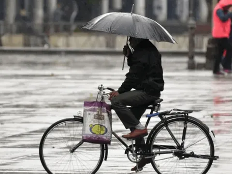 Cầm ô khi điều khiển xe bị phạt bao nhiêu tiền theo Nghị định 168?