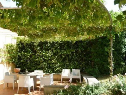 Mẹo giúp nhà mát lâu mà chẳng cần dùng tới máy lạnh, học ngay hôm nay để tiết kiệm tiền cho gia đình