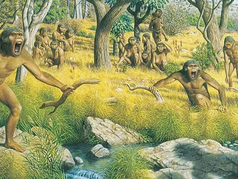 Vì sao chỉ có con người cần mặc quần áo để giữ ấm?