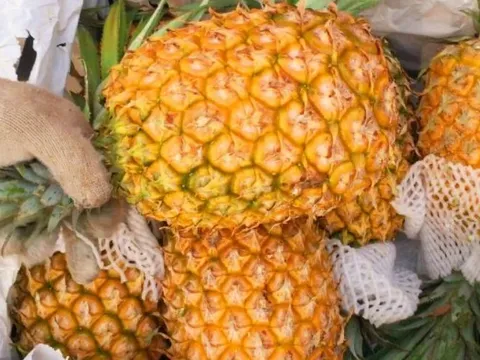 Bí quyết chọn dứa ngon ngọt: Mẹo nhỏ nhưng hiệu quả không ngờ!