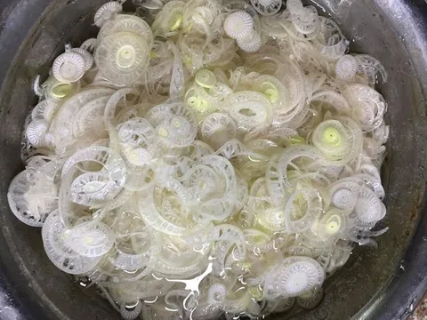 Loại rau dùng để chăn nuôi ở Việt Nam nhưng lại là đặc sản ở Nhật