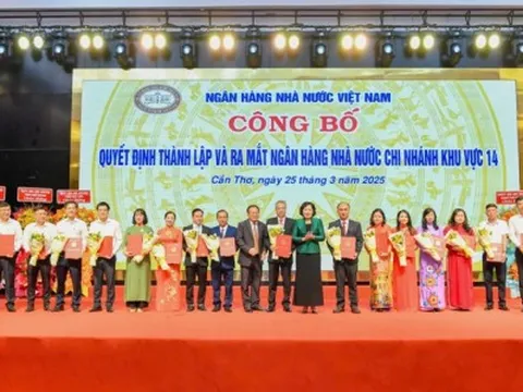 Nhiều chính sách, chương trình tín dụng hỗ trợ doanh nghiệp Đồng bằng sông Cửu Long