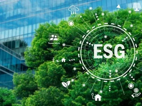 Thực hành phát triển bền vững: Doanh nghiệp cần lựa chọn lĩnh vực trọng tâm 