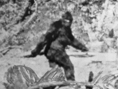 Hé lộ bí ẩn rợn người về “Tam giác quỷ” nước Mỹ: Bigfoot, UFO và màu sắc bị cấm kỵ