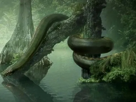 Bí ẩn trăn titan – loài rắn khổng lồ tuyệt chủng cách đây 60 triệu năm