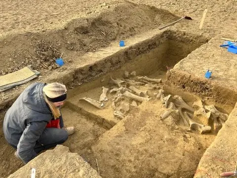 Xương voi ma mút 25.000 năm tuổi tiết lộ bí ẩn về con người thời kỳ băng hà