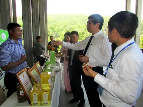 Bình Định: Sản phẩm khởi nghiệp xanh thu hút nhà đầu tư