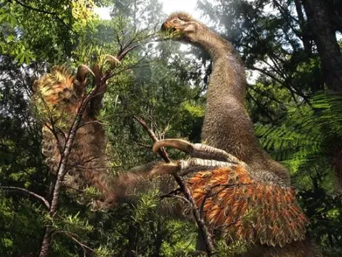 Phát hiện loài khủng long kỳ dị với móng vuốt khổng lồ tại Mông Cổ: Bí ẩn của sự tiến hóa