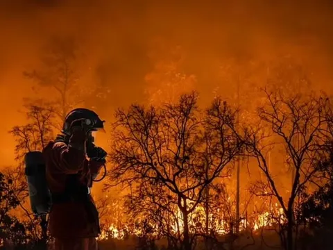Trái Đất có thể nóng lên 7°C vào năm 2200: Thảm họa lũ lụt, nạn đói và nắng nóng kỷ lục đang chực chờ