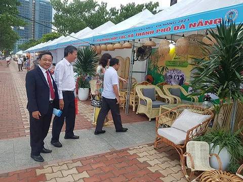 Đà Nẵng triển khai điều tra doanh nghiệp từ 1/4