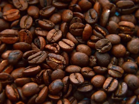 Giá nông sản ngày 1/4/2025: Cà phê tăng trở lại, hồ tiêu giảm nhẹ