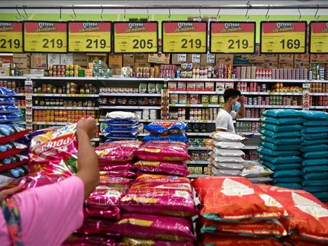 Thị trường nông sản: Triển vọng dài hạn cho gạo hữu cơ xuất khẩu của Thái Lan