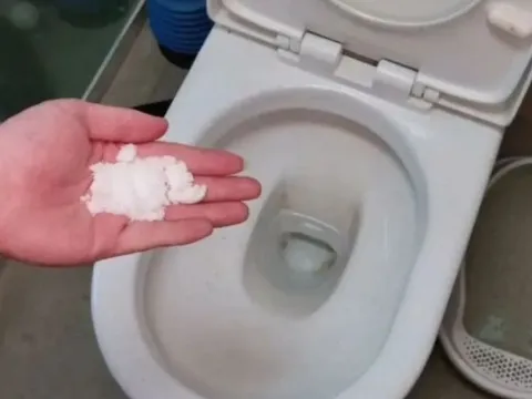 Đổ một nắm muối vào bồn cầu, chờ 2 tiếng – điều kỳ diệu sẽ xảy ra!
