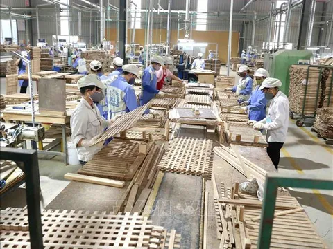 Kinh tế tư nhân - trụ cột mới của nền kinh tế Việt Nam trong kỷ nguyên phát triển