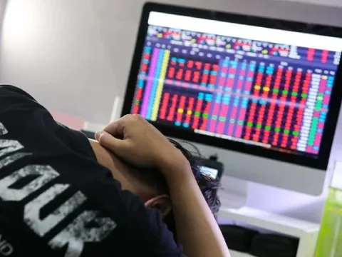 Hàng loạt cổ phiếu giảm sàn