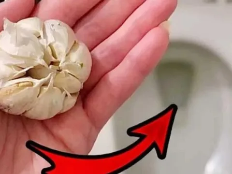 Bỏ 1 tép tỏi vào bồn cầu trước khi ngủ: Mẹo nhỏ nhưng hiệu quả bất ngờ ai cũng nên biết