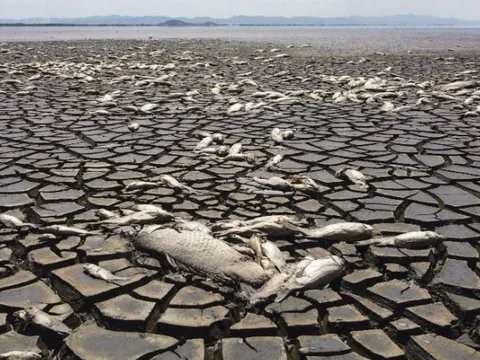 Trái Đất có thể nóng lên tới 7°C vào năm 2200