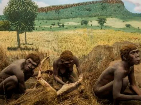 Hành trình 35 triệu năm: Con người đã học nói như thế nào?